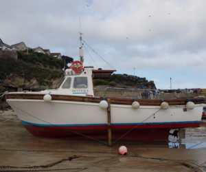 Fishing Trips Business in Newquay