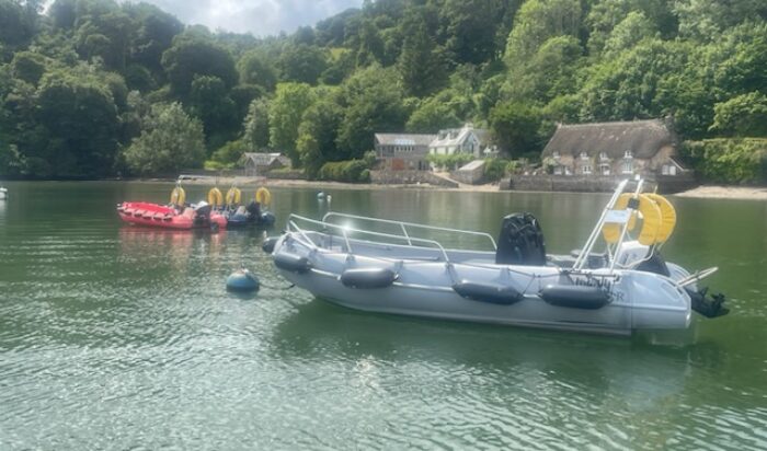 Dittisham Hire Boats for Sale