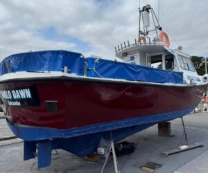 Salcombe Angling Sea Fishing Charters