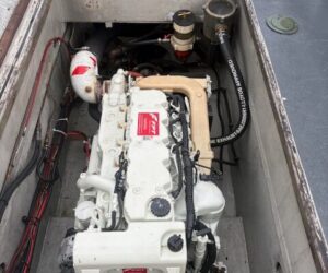 Salcombe Angling Sea Fishing Charters