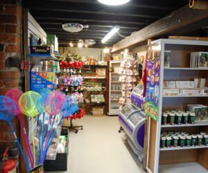 Llangollen Wharf Horse Drawn Boat Trips
