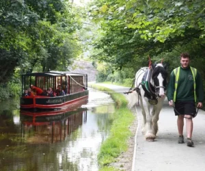 Llangollen Wharf Horse Drawn Boat Trips